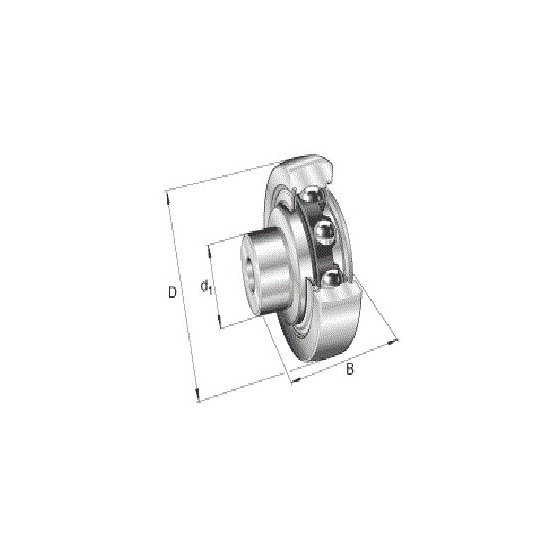 Rodillo gua ZL206-DRS (INA)